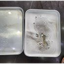 맑은수크리닝 이미지