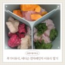 햇빛전자 | 후기이유식, 에디슨 전자레인지 이유식 찜기, 세끼 만들기