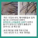 인셀덤보타랩 전혜연