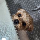 킁킁제과 이미지