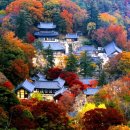 갑사삼거리~계룡초교 | 문화ㆍ관광의 도시 &#34;공주&#34;의 열가지 아름다움 - 공주 10경 [계룡산/고마나루/금강/무령왕릉/금학생태공원]