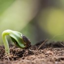 진해농장 이미지