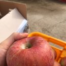 정 농원 이미지