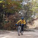 주동초등학교 이미지