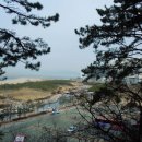 몰운대 시비 이미지