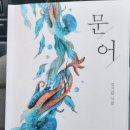 더바른문어 이미지