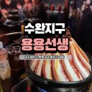 (주)코리아세븐 광주수완단비점 | 수완지구 술집 :: 용용선생 신상 맛집 메뉴추천