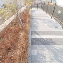 뜰공인중개사사무소 이미지