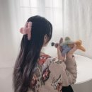 보송 이미지