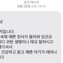 김해아가마지 이미지
