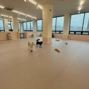 뽀송그루밍 이미지