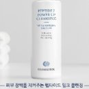 비손비격 네이버블로그