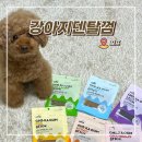토리덴탈 | 강아지덴탈껌 추천 꼬뜨 치카껌 기호성 좋은 간식