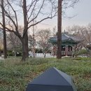 동인삼덕 생태문화골 | 근대로 노을벚꽃 오래된 박물관사이 놀빛.저항시인 이육사264