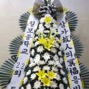 370060 Daum카페