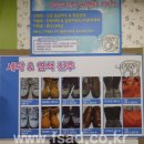 버블세탁전문점 이미지