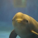 천운농장 이미지