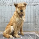 농도원1길 이미지