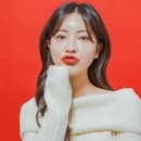 네파부 이미지