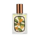 아뜰리에 이미지