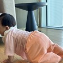 커피향제곱 | 제주도 그랜드 하얏트 돌아기랑 솔직후기
