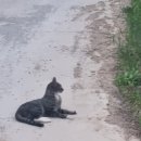 (찾아가는) 실버 책놀이 이미지