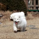 미소천사