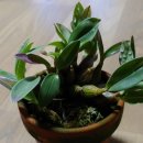 선달농장 이미지