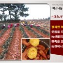 미나농장 이미지