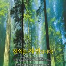 믿음사랑한의원 티스토리