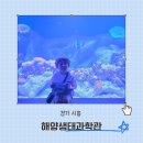 정왕평생학습관 강당 | 시흥 거북섬 가볼만한곳 아이와 놀거리 해양생태과학관 예약