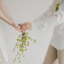 네추럴무드