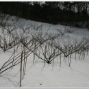 미골농장 이미지