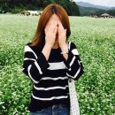 조원목장 이미지