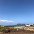 유자네 민박 이미지