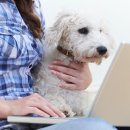 무지개다리 이미지