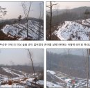 봉두산 이미지