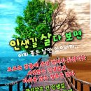 엔돌핀 이미지