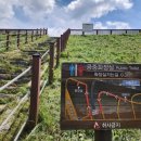 호동골공원 | 전주 아중호수 카페 맛집 주차 | 산책하기 좋은 수변데크 아중호수 둘레길