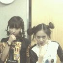 크리스탈장 이미지