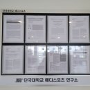 메디퀸스