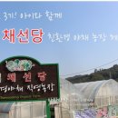 또또와야채