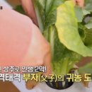 찬수농장 이미지