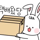 제이와이티 이미지
