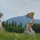 낙동강체육공원 인라인스케이트장+게이트볼장 | ◈ 부산 화명 생태 공원