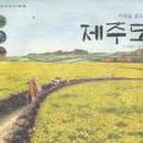책나무 이미지