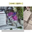 오브제랩 | 서울 부케 말리기 에버블루밍 by 청명랩 포토액자 오브제 후기