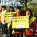 이천 백사초교 이천뉴스