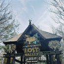 정원슈퍼 | 29개월 에버랜드 꿀팁｜워킹사파리 대기 없이 입장한 방법 + 나비정원 코스 후기