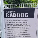 라드독 애견미용실 | [성남 애견카페] 라드독 방문 솔직 후기
